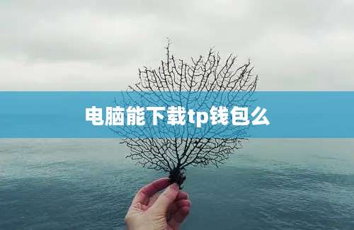 电脑能下载tp钱包么