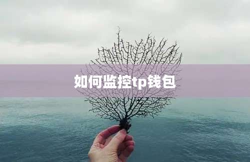 如何监控tp钱包