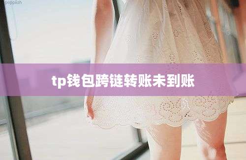 tp钱包跨链转账未到账