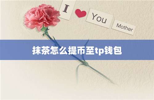 抹茶怎么提币至tp钱包