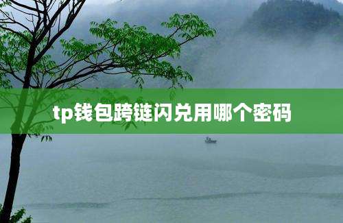 tp钱包跨链闪兑用哪个密码