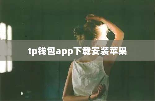 tp钱包app下载安装苹果