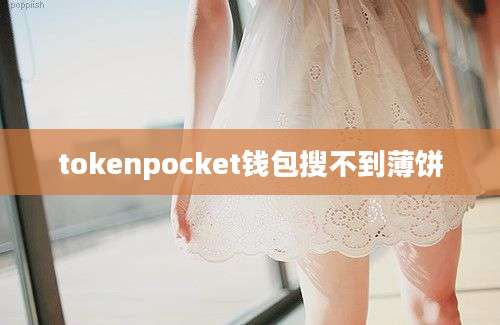 tokenpocket钱包搜不到薄饼