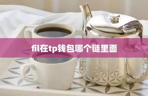 fil在tp钱包哪个链里面
