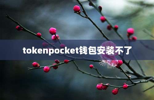 tokenpocket钱包安装不了