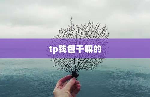 tp钱包干嘛的