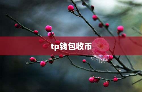 tp钱包收币