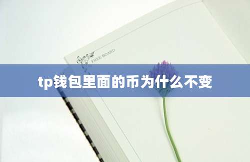 tp钱包里面的币为什么不变