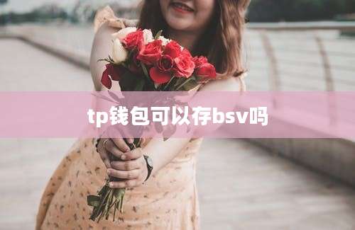 tp钱包可以存bsv吗