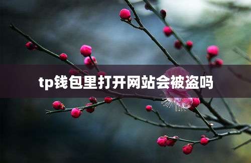 tp钱包里打开网站会被盗吗