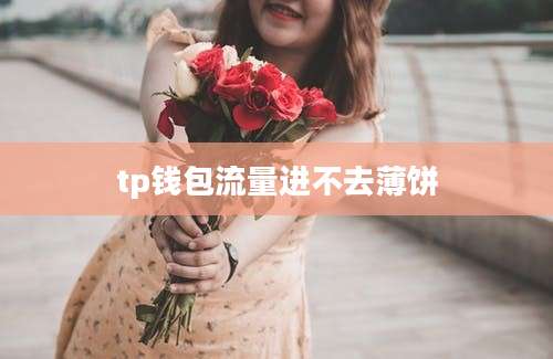 tp钱包流量进不去薄饼