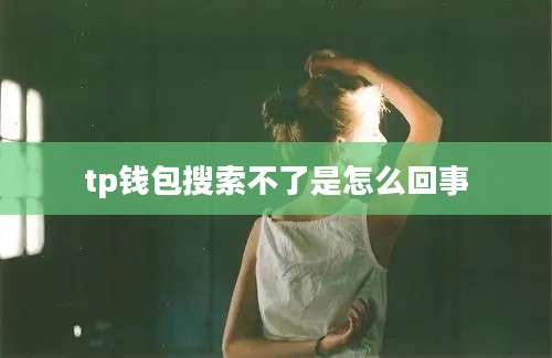 tp钱包搜索不了是怎么回事