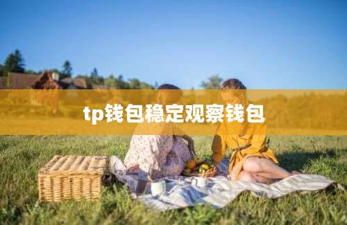 tp钱包稳定观察钱包