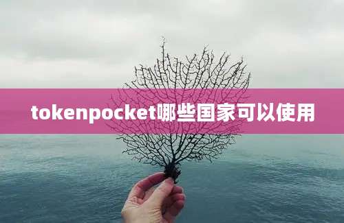 tokenpocket哪些国家可以使用