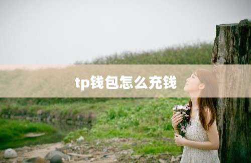 tp钱包怎么充钱