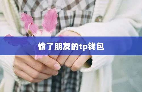 偷了朋友的tp钱包
