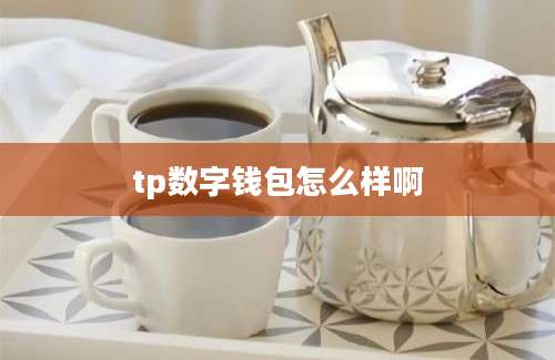 tp数字钱包怎么样啊