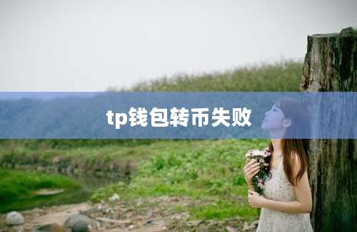 tp钱包转币失败