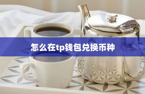 怎么在tp钱包兑换币种