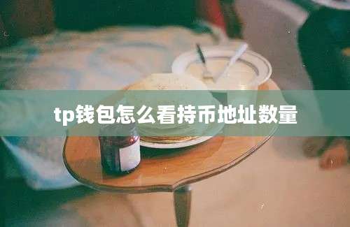 tp钱包怎么看持币地址数量