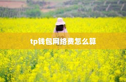 tp钱包网络费怎么算