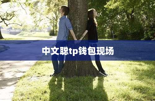 中文聪tp钱包现场