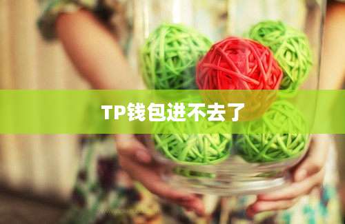 TP钱包进不去了