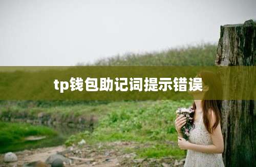 tp钱包助记词提示错误
