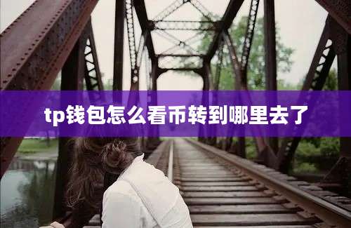 tp钱包怎么看币转到哪里去了