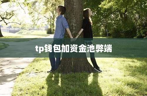 tp钱包加资金池弊端