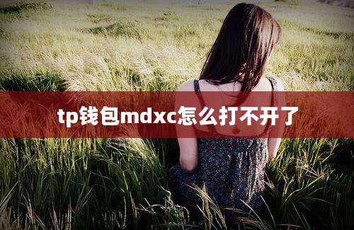 tp钱包mdxc怎么打不开了