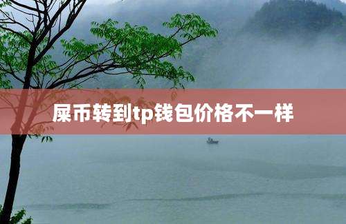 屎币转到tp钱包价格不一样