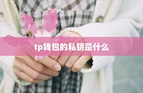 tp钱包的私钥是什么