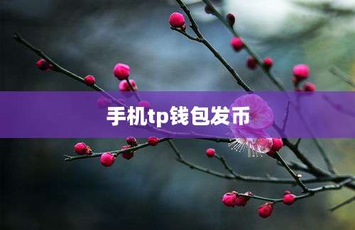 手机tp钱包发币