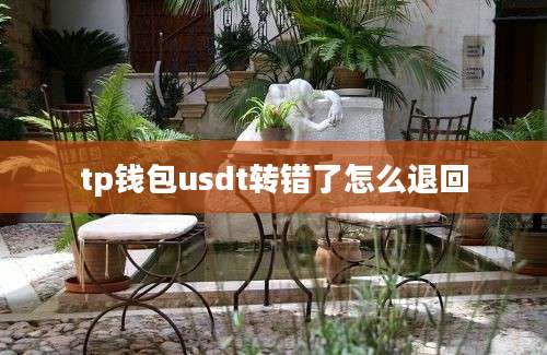 tp钱包usdt转错了怎么退回