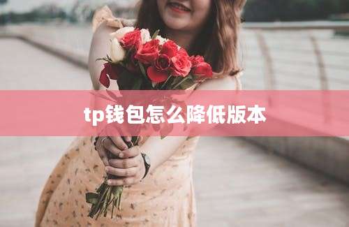 tp钱包怎么降低版本