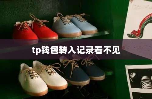 tp钱包转入记录看不见