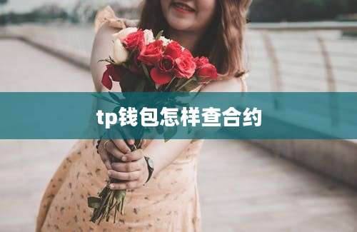 tp钱包怎样查合约