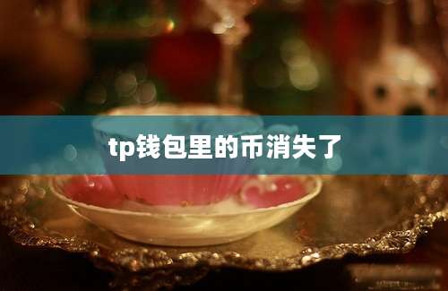 tp钱包里的币消失了