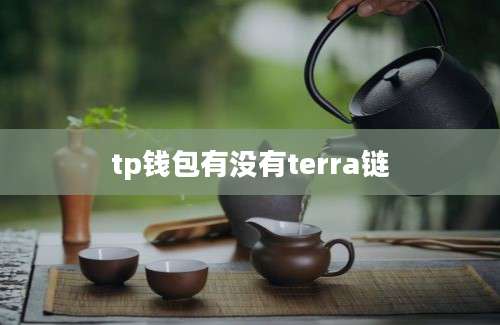 tp钱包有没有terra链