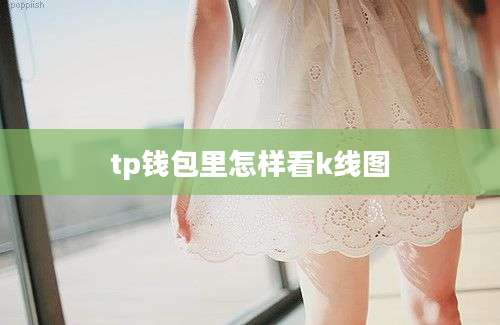 tp钱包里怎样看k线图