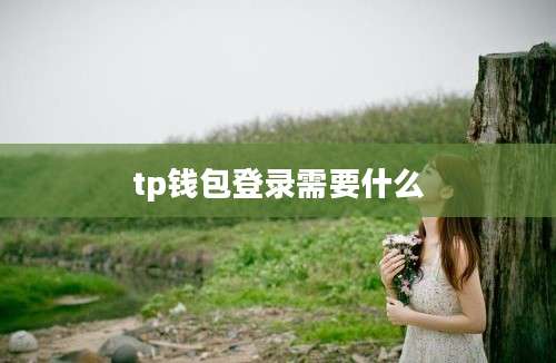 tp钱包登录需要什么
