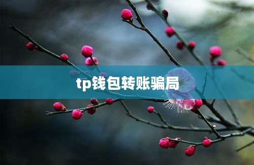 tp钱包转账骗局