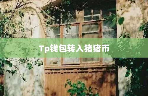 Tp钱包转入猪猪币