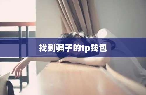 找到骗子的tp钱包
