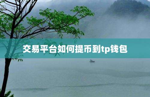 交易平台如何提币到tp钱包