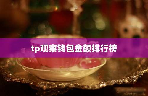tp观察钱包金额排行榜