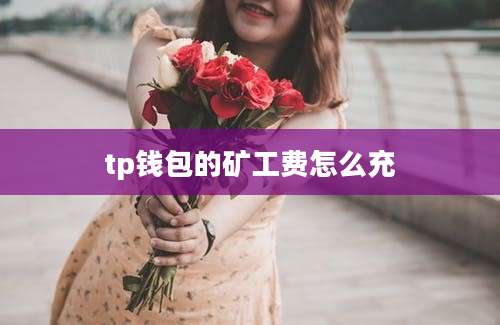 tp钱包的矿工费怎么充
