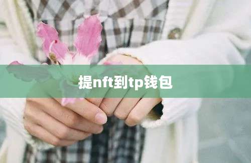 提nft到tp钱包