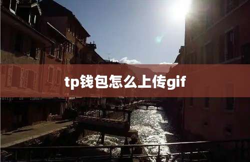 tp钱包怎么上传gif